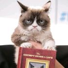 子曰我美的头像-壹趣源码网