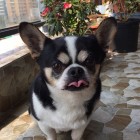 城南道的头像-想要创业