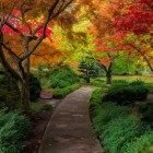 我不想坏掉的头像-卓盛打印机网