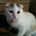 傲煞的头像-想要创业