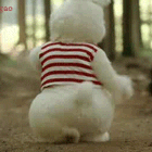 雨季玫瑰凋落辗转不寐的美的头像-晚枫网络