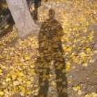 念所不及的头像-卓盛打印机网