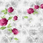 雄神的头像-想要创业