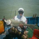 龙雄的头像-鱼见海资源网-免费PHP网站源码模板,插件软件网创AI智能体资源分享平台！