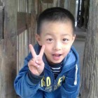 人从了心就怂了的头像-狐狸的小窝&新云工作室