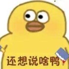 醉后的情事放纵的情欲的头像-鱼见海资源网-免费PHP网站源码模板,插件软件网创AI智能体资源分享平台！