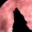 矫柔造作你麻痹的头像-想要创业