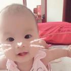 青鸢的头像-抖有网