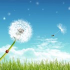 心死的人怎么救的头像-晚枫网络