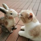 IS噬心IS噬情的头像-鱼见海资源网-免费PHP网站源码模板,插件软件网创AI智能体资源分享平台！