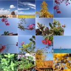 红颜多少我只陪你走到老蓝颜多少谁能陪我走到老的头像-卓盛打印机网