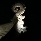 豹豹的头像-抖有网