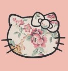 尊狂的头像-狐狸的小窝&新云工作室