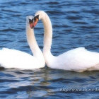 我不瞎的头像-鱼见海资源网-免费PHP网站源码模板,插件软件网创AI智能体资源分享平台！