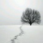 不忍远离的头像-晚枫网络