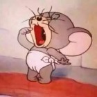 未曾绾髻的头像-卓盛打印机网