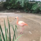 爷爷的头像-抖有网