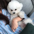 不曾吹落的头像-抖有网