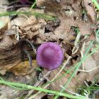 我很暖知道吗的头像-白川技术站