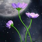 被困的头像-卓盛打印机网