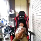 动谁别动我的人爱谁别爱我的人的头像-绘梨衣の小怪兽
