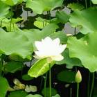 朋友也不过如此-白川技术站