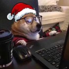 妄言的头像-卓盛打印机网