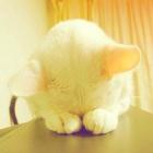 半秒朋友的头像-抖有网