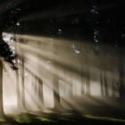 鸯鸢的头像-鱼见海资源网-免费PHP网站源码模板,插件软件网创AI智能体资源分享平台！