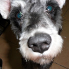 天狂的头像-想要创业