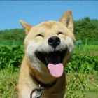 回忆告诉你啥幼稚的头像-想要创业