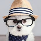 依旧等待的头像-想要创业