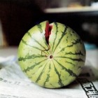 神天的头像-狐狸的小窝&新云工作室