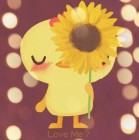 维他命夺她心的头像-鱼见海资源网-免费PHP网站源码模板,插件软件网创AI智能体资源分享平台！